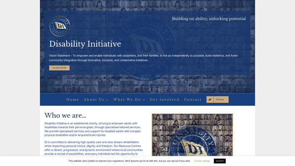 Screenshot of the Disability Initiative website