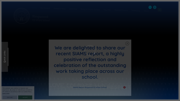 Screenshot of the Friends Of Ringwood Infant School website