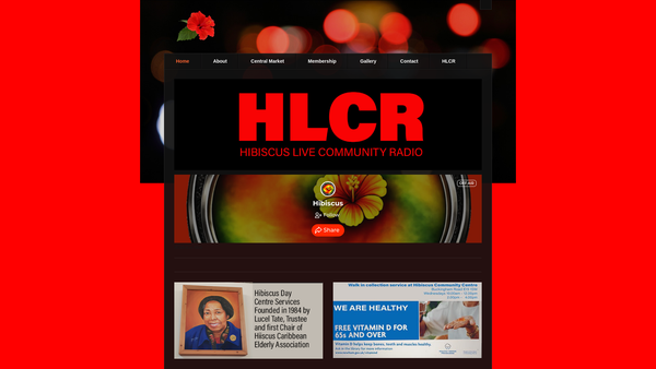 Screenshot of the Hibiscus Caribbean Elderly Association website