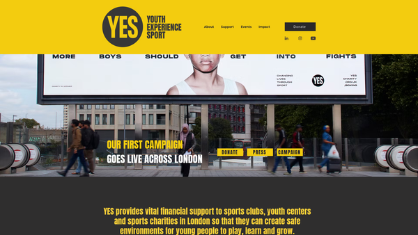 Screenshot of the Youth Experience In Sport website