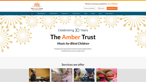 Screenshot of the The Amber Trust website