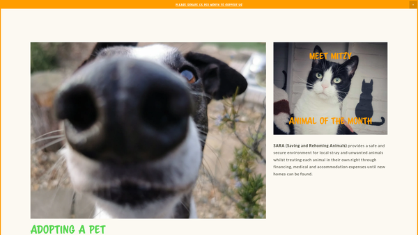 Screenshot of the SARA Ann Prosser Foundation website