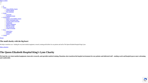 Screenshot of the The Queen Elizabeth Hospital King's Lynn Charitable Fund website
