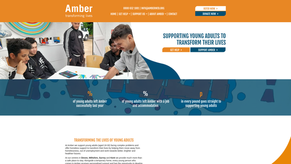 Screenshot of the The Amber Foundation website