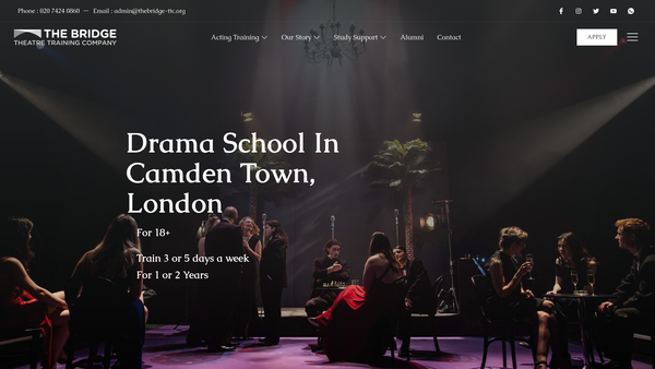 Screenshot of the The Bridge Theatre Training Company website