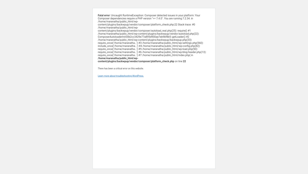 Screenshot of the Maranatha Ministries website