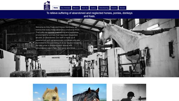Screenshot of the A.w.l.n. Foals And Horses Sanctuary website