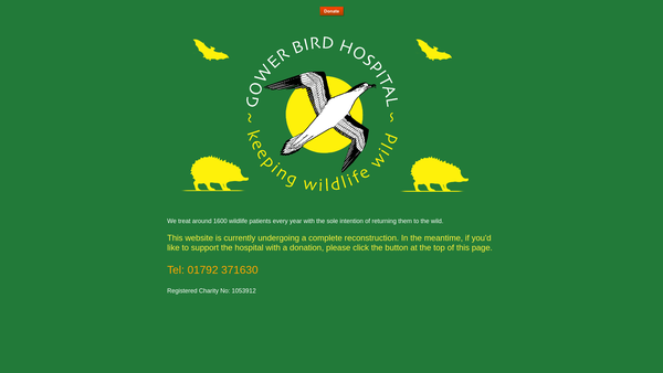 Screenshot of the Gower Bird Hospital website