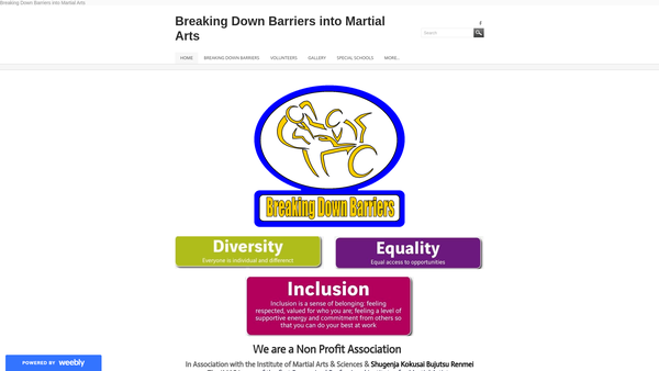 Screenshot of the Diversity Martial Arts Association website