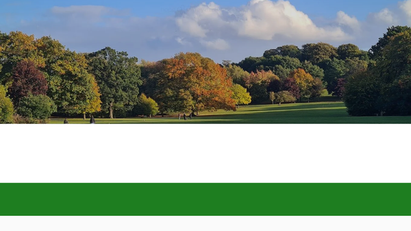 Screenshot of the Vineyard Christian Fellowship Of South West Nottingham website