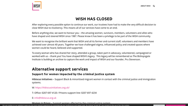 Screenshot of the Wish website