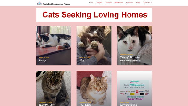 Screenshot of the North East Lincs Animal Rescue website
