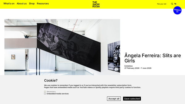 Screenshot of the The Showroom Gallery Ltd website