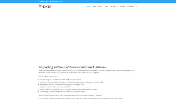 Screenshot of the The Pseudoxanthoma Elasticum Support Group (Pixie) website