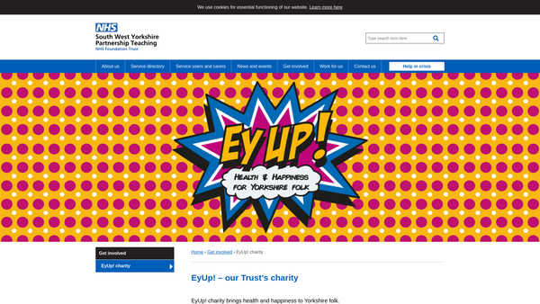 Screenshot of the Eyup website