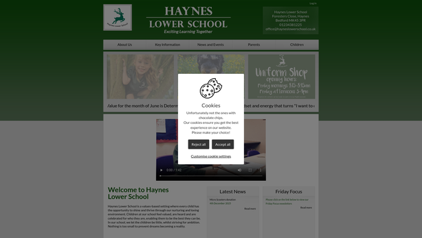 Screenshot of the Haynes Lower School Parent Teacher Association website