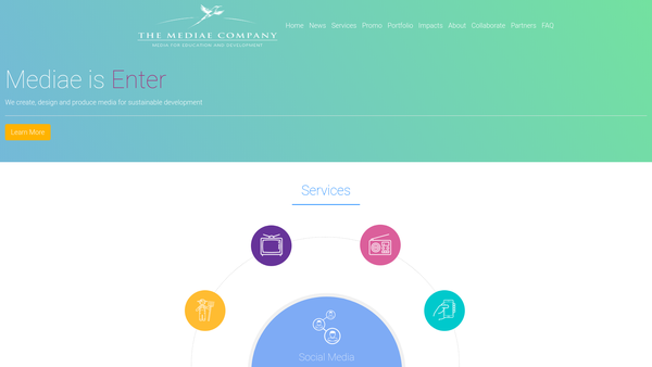 Screenshot of the The Mediae Trust website