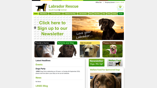 Screenshot of the Labrador Rescue South East And Central website