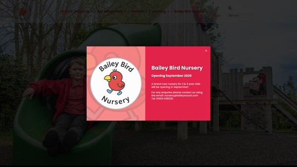 Screenshot of the Friends Of Baileys Court Primary School website