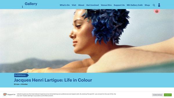 Screenshot of the Mk Gallery website