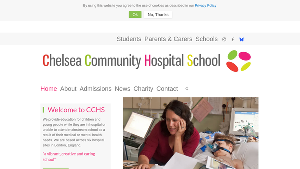 Screenshot of the Friends Of Chelsea Children's Hospital School website