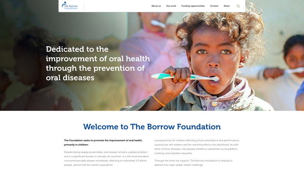 Screenshot of the The Borrow Foundation website