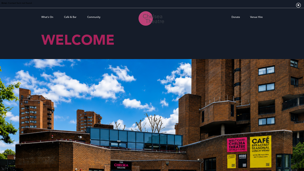 Screenshot of the The Chelsea Centre Ltd website