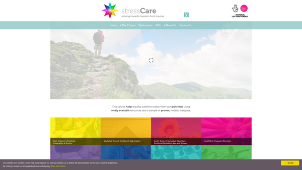 Screenshot of the Post Traumatic Stress Disorder Association website