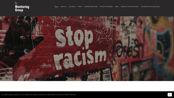 Screenshot of the The Monitoring Group Limited website