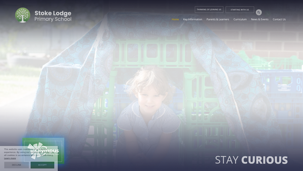 Screenshot of the The Friends Of Stoke Lodge Primary School website