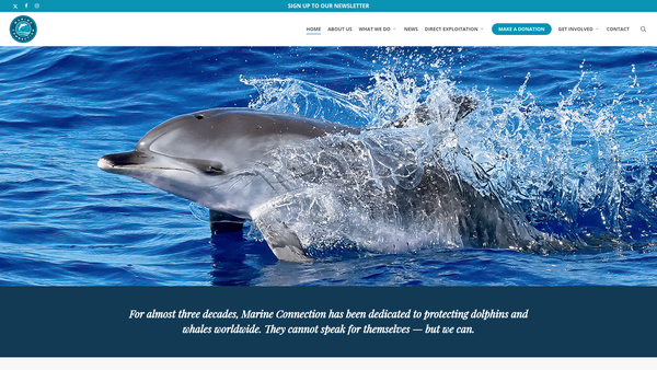 Screenshot of the The Marine Connection website