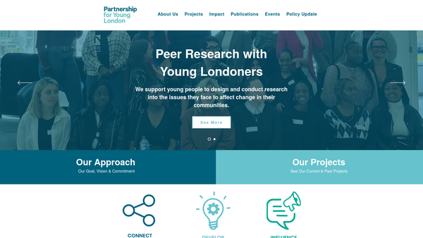 Screenshot of the Partnership For Young London website