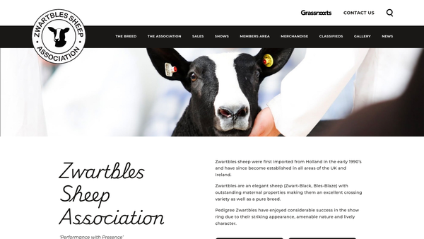 Screenshot of the Zwartbles Sheep Association website