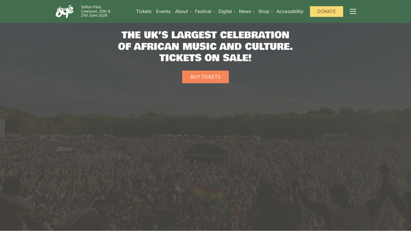 Screenshot of the Africa Oye website