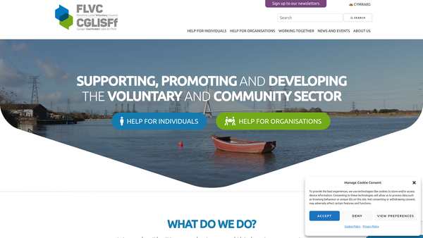 Screenshot of the Flintshire Local Voluntary Council website