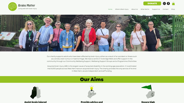 Screenshot of the Brains Matter Charity website