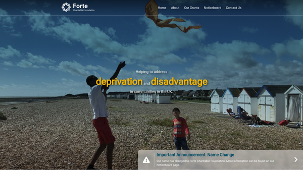 Screenshot of the The Forte Charitable Foundation website
