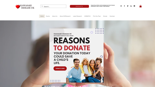Screenshot of the Kawasaki Fund website