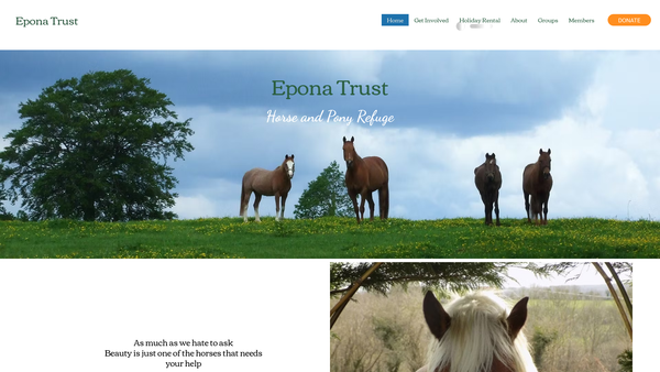 Screenshot of the The Epona Trust website