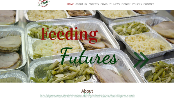 Screenshot of the Hot Line Meals Service (London) website