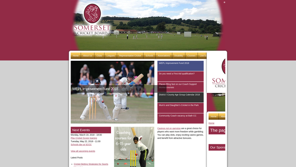 Screenshot of the The Tony Coles Charitable Trust For The Development Of Youth Cricket website