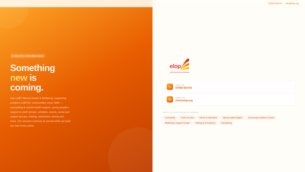 Screenshot of the East London Out Project website