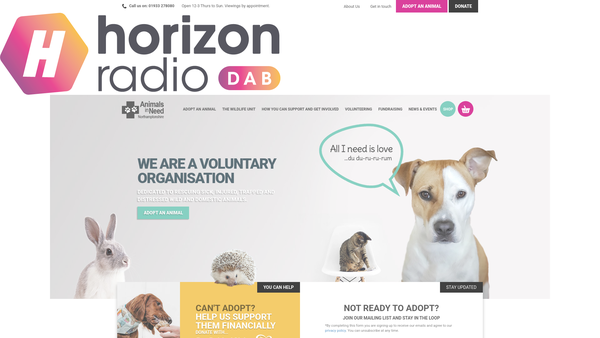 Screenshot of the Animals In Need Northamptonshire website