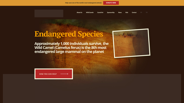 Screenshot of the Wild Camel Protection Foundation website