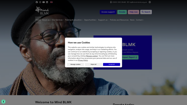 Screenshot of the Mind Blmk website