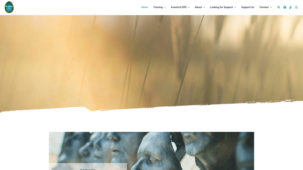 Screenshot of the Re-Vision Ltd website