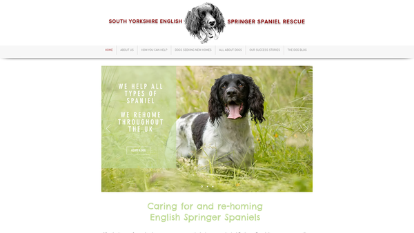 Screenshot of the South Yorkshire English Springer Spaniel Rescue website