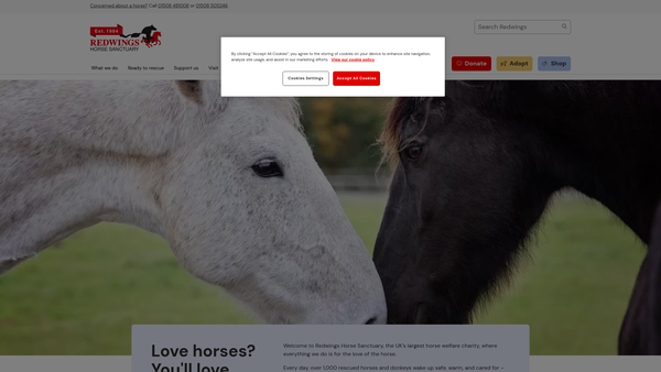 Screenshot of the Redwings Horse Sanctuary website