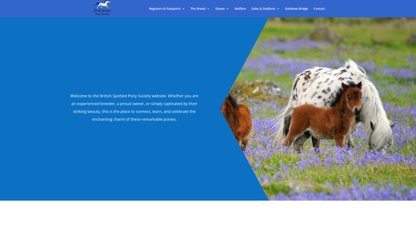 Screenshot of the The British Spotted Pony Society Limited website