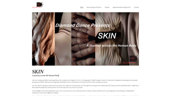 Screenshot of the Diamond Dance Limited website
